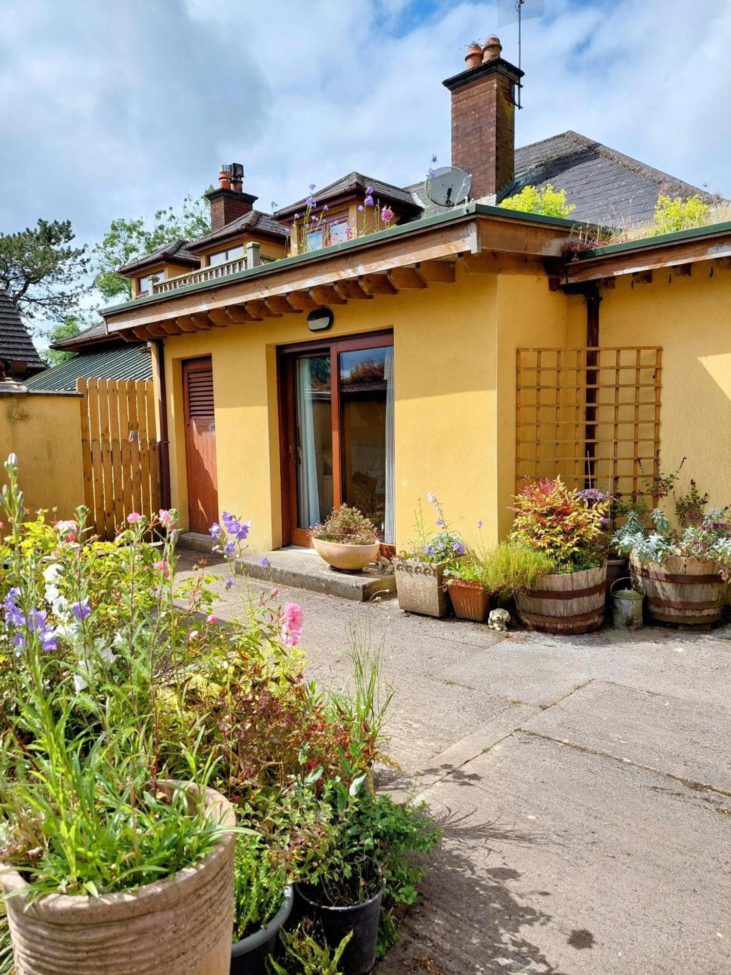 The Veterinary @ Kildare Village Exterior photo